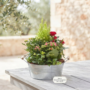 Medium Outdoor Plant Arrangement – 27cm Ornamental Pot