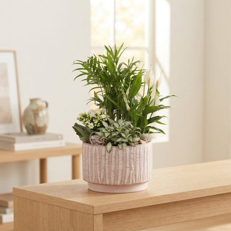 Year-Round Indoor Plant Arrangement – 20cm Natural Ceramic Pot