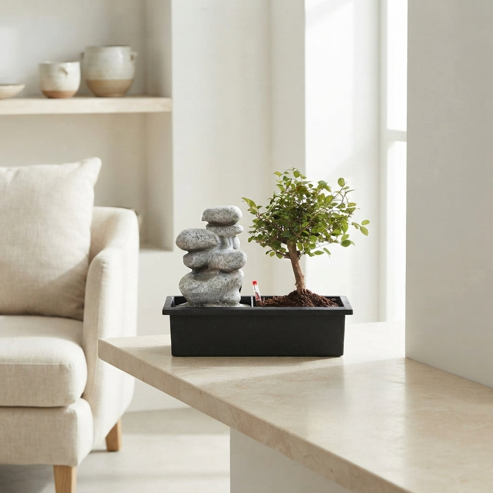 Indoor Waterfall Bonsai – 29cm Pot