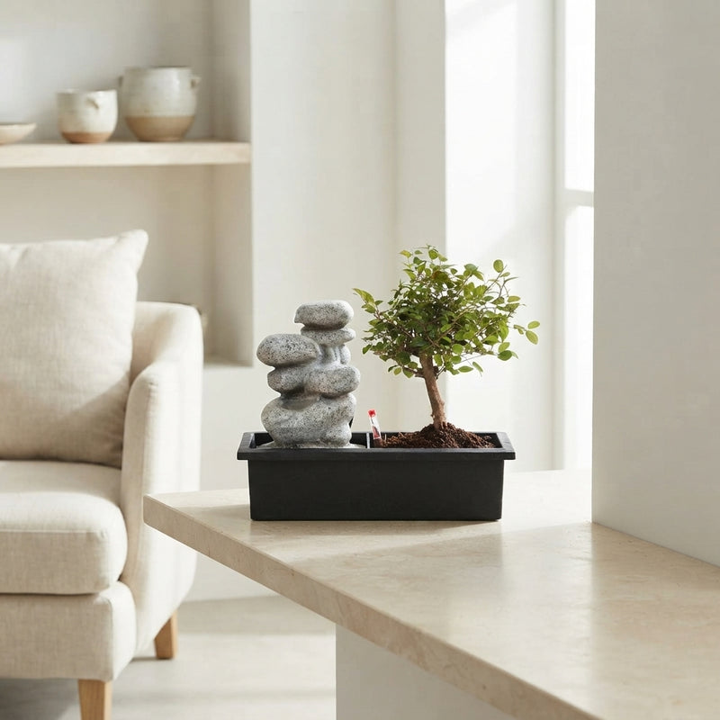 Indoor Waterfall Bonsai – 29cm Pot