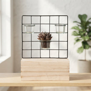 Metal Plant Stand with Glass Display – 24cm