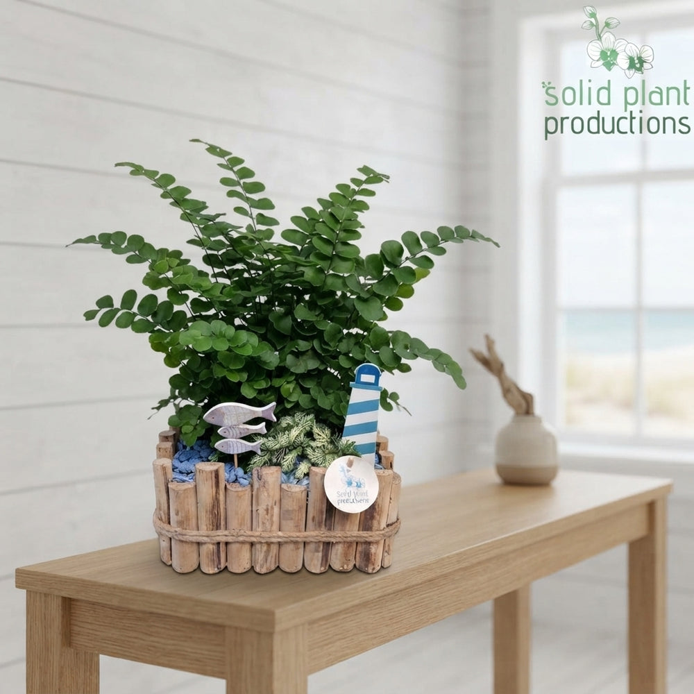 Large Maritime-Style Plant Arrangement – 30cm Wooden Pot