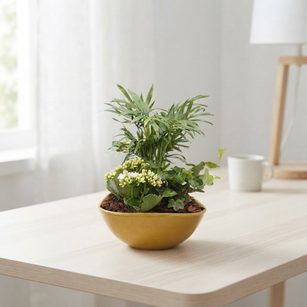 Evelyn Mixed Plant Arrangement – 22cm Oval Ceramic Pot