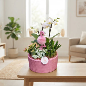 Stella Mixed Flower Arrangement – 22cm Ceramic Pot