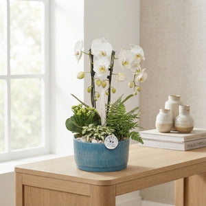 Izabella Navy Cascade Arrangement – 22cm Ceramic Pot
