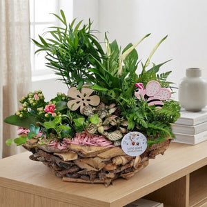 Whitewashed Driftwood Boat Arrangement – 43cm