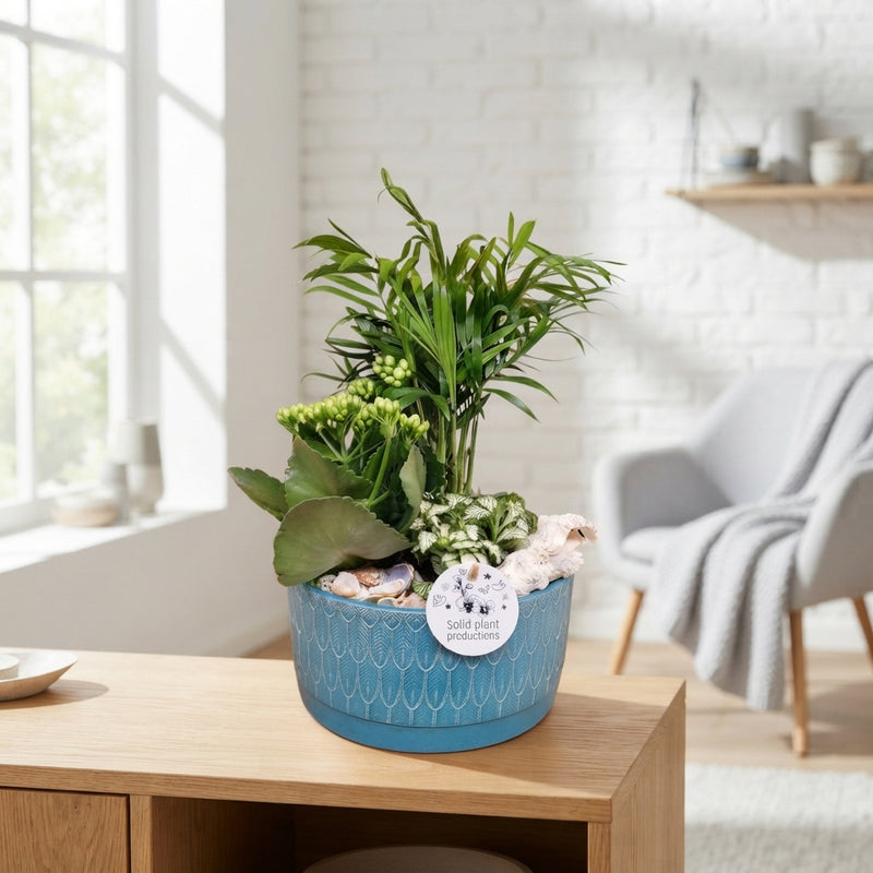 Sarah Navy Chamaedorea Palm Arrangement – 19cm Pot