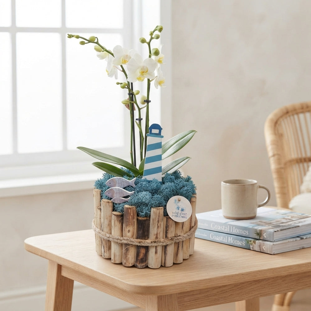 Large Maritime Houseplant Arrangement – 23cm Wooden Pot