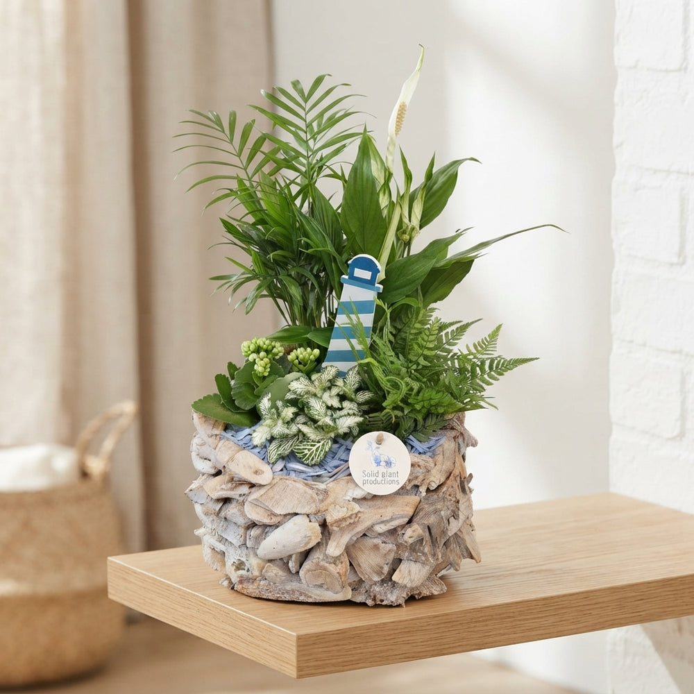 White-Washed Driftwood Arrangement – 31cm