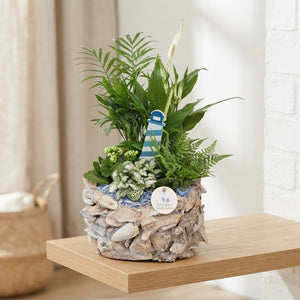 White-Washed Driftwood Arrangement – 31cm