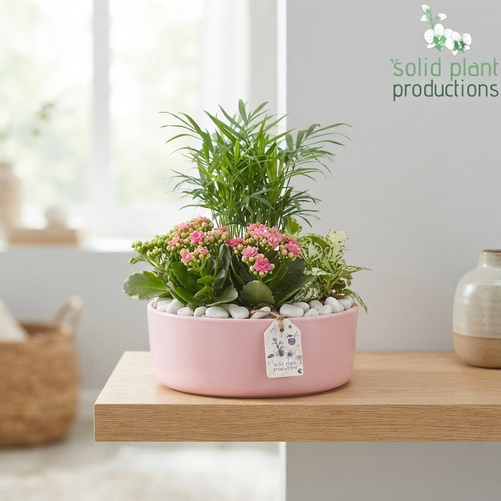 Eyleen Summer Mix Floral Arrangement – 25cm Oval Ceramic Pot