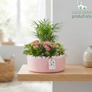 Eyleen Summer Mix Floral Arrangement – 25cm Oval Ceramic Pot