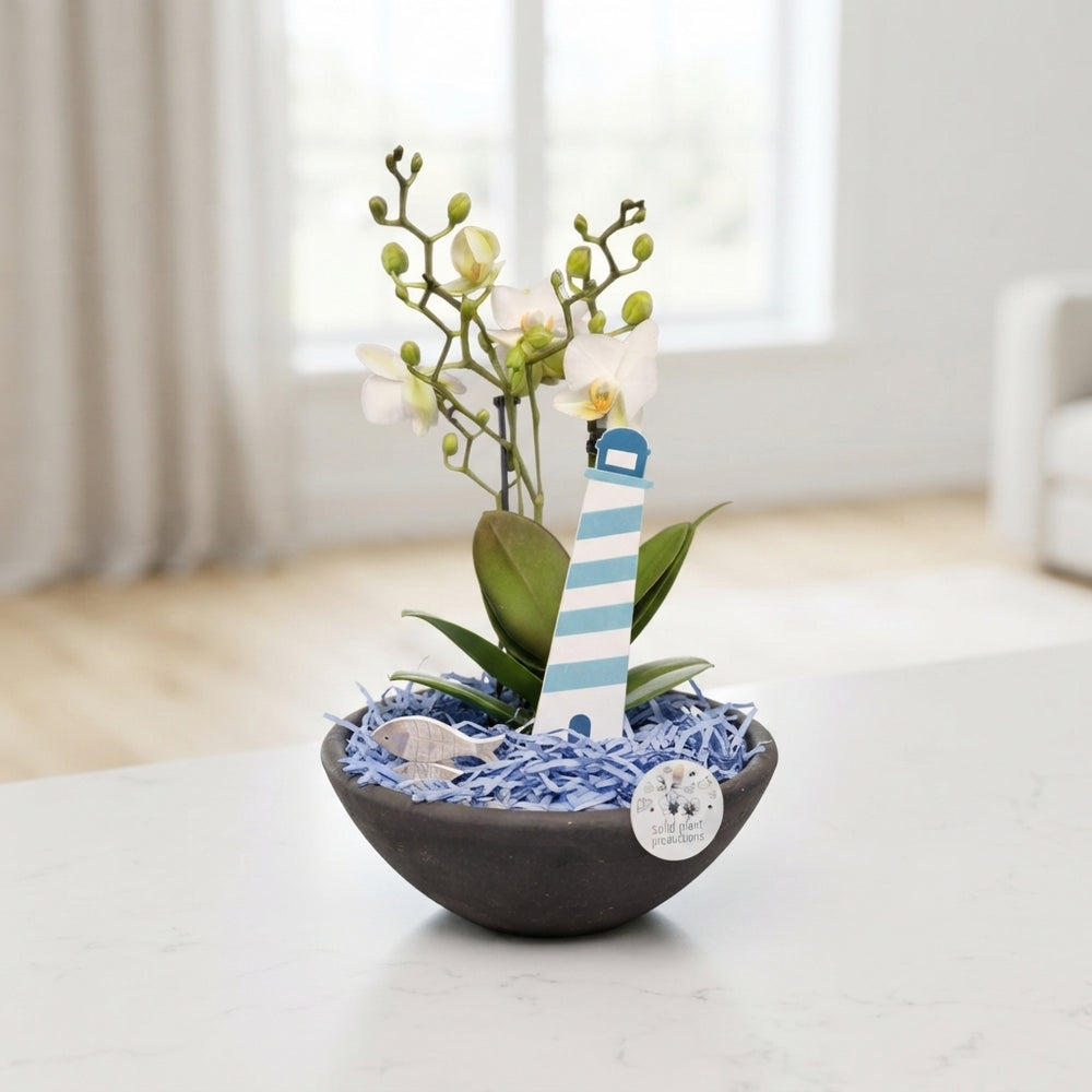 Blue Maritime Ceramic Plant Arrangement – 27cm Pot