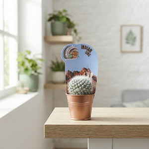 Mixed Cactus Collection – 5.5cm Pot